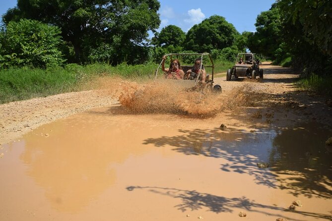 Family Buggy Ride Through the Dominican Countryside