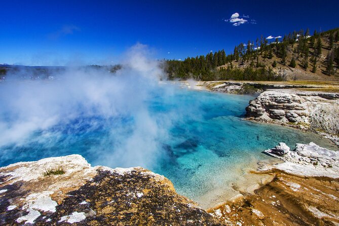 Family Friendly Private Tour at Yellowstone National Park W/Lunch