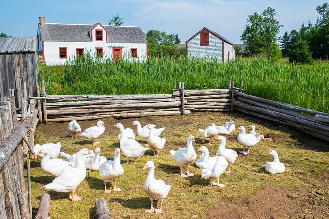 Family Visit to the Acadian Historic Village - Overview and Location