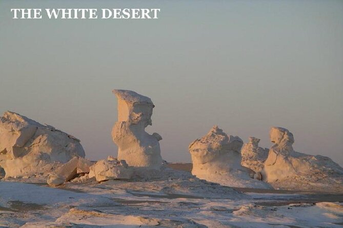 Fantastic Overnight White Desert and Baharya Oasis