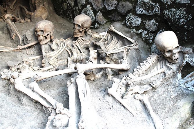 Fast Access Exclusive Private Ancient Pompeii Herculaneum & Oplontis Guided Tour