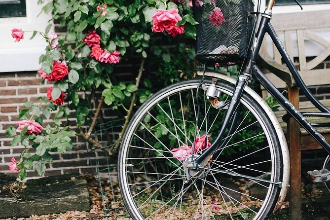 Fat Bike Tours Amsterdam - Additional Information
