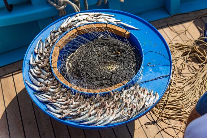 Fishing Experience Around Capri From Sorrento With Lunch Onboard - Discovering the Bay of Naples Bounty