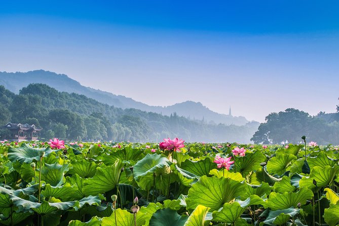 Flexible Hangzhou Private Day Tour With Lunch