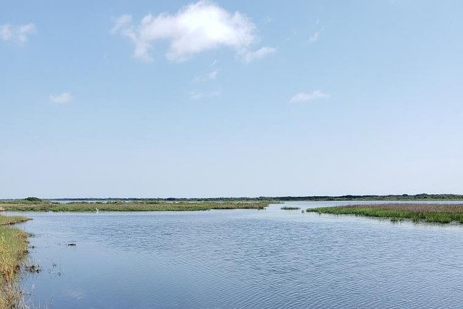 Florida Backroads E-Bike Tour
