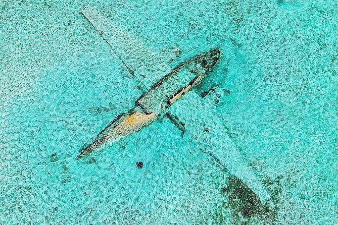 Fly To The Exuma Swimming Pigs