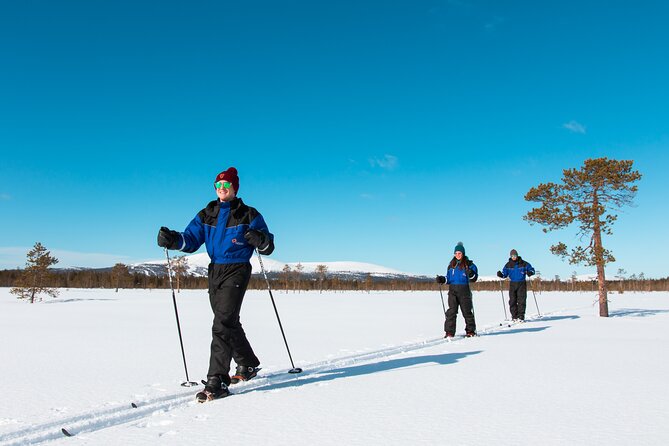 Forest Skiing in Nature - Meeting Point and Pickup Details