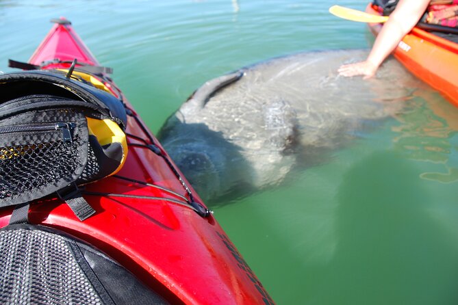 Fort Lauderdale's Tropical Kayak Tour and Island Adventure - Overview of the Tour