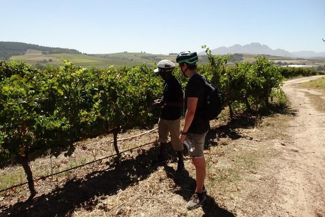 Franschhoek Half Day Winelands Cycle Tour