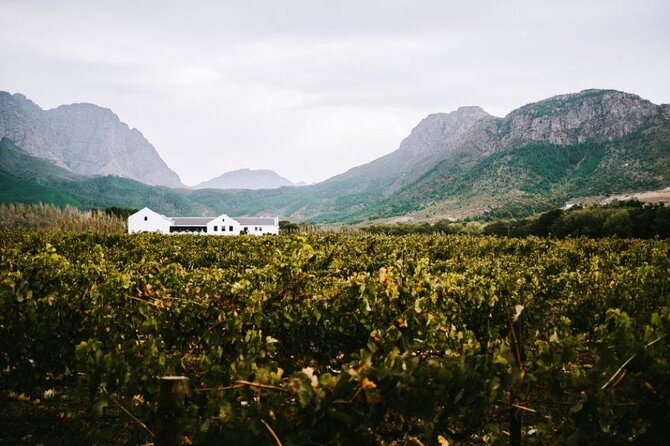 Franschhoek Wine Tram Hop-On Hop-Off Tour From Cape Town.
