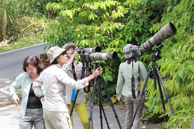 Frasers Hill Bird-Watching & Nature Sightseeing Tour From Kuala Lumpur