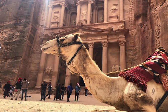 From Amman | Dead Sea and Petra in One Day | Admission Fees Included