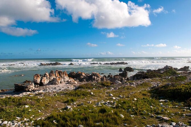 From Cape Town :Cape Agulhas &Whale Watching Tour in Hermanus