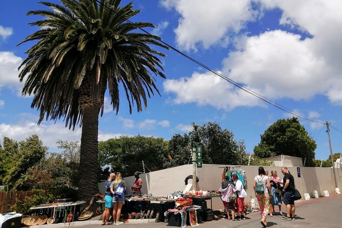 From CapeTown:TableMountain,Penguins &Wine Testing in Constantia