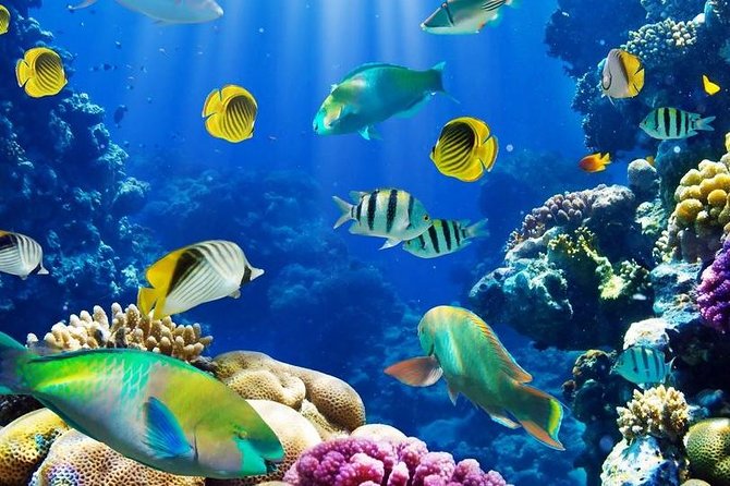 From Hurghada: Sharm El Naga Full-Day Snorkeling Tour