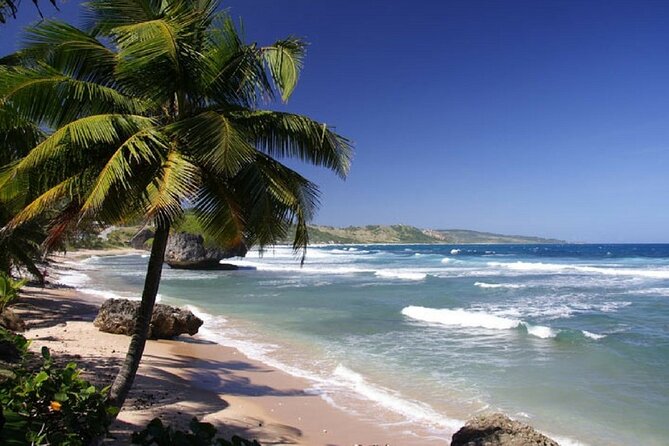From Liberia Airport to Tamarindo Beach Shuttle - Shuttle Overview