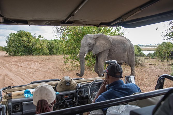 From Livingstone, Victoria Falls or Kasane – Chobe Day Tour