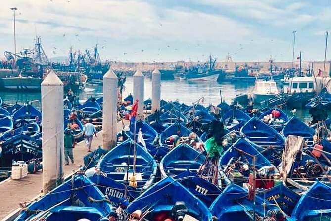 From Marrakech: Essaouira Full-Day Trip