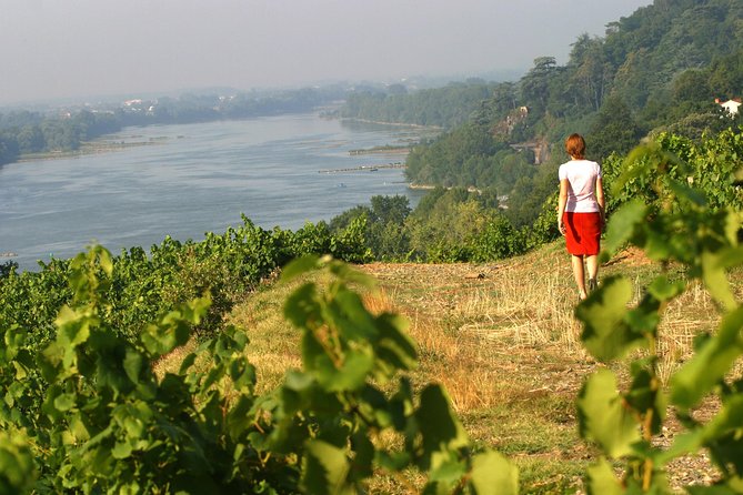 From Nantes – Vineyard of Nantes in Minivan – Half Day