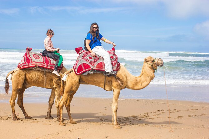 From Taghazoute : 2 Hours Agadir Camel Ride With Transfers and Tea Break