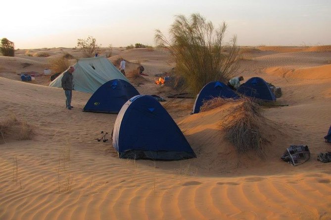 From Tozeur: 3-Day Desert Trip