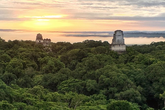 Full Day at Tikal Mayan Ruin Tour From San Ignacio
