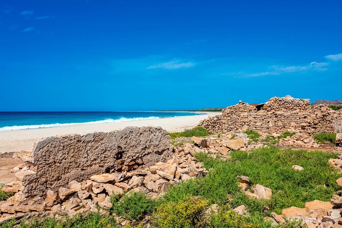 Full Day Boa Vista Island Guided 4X4 Tour With Beachfront Lunch