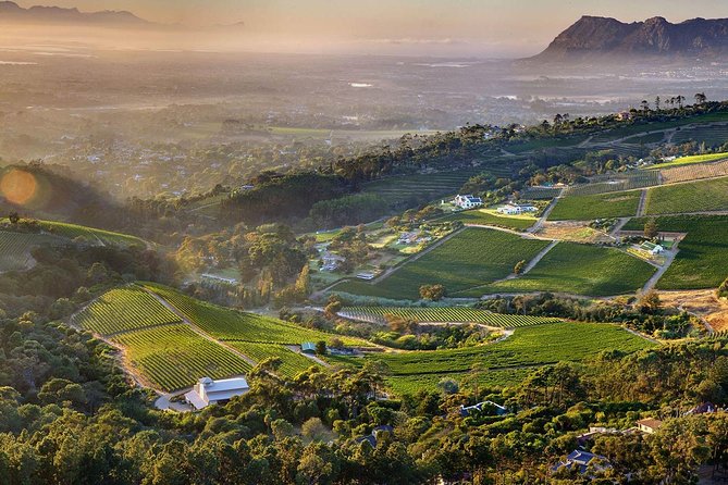 Full Day Cape Point + Constantia Wine Tour With Private Transfer