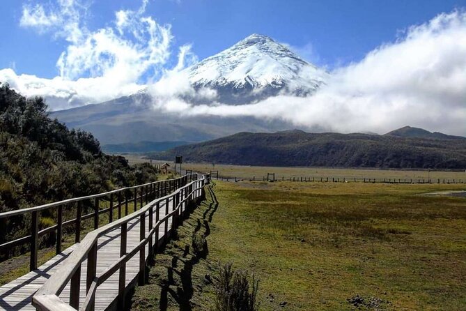 Full Day Cotopaxi National Park – Private