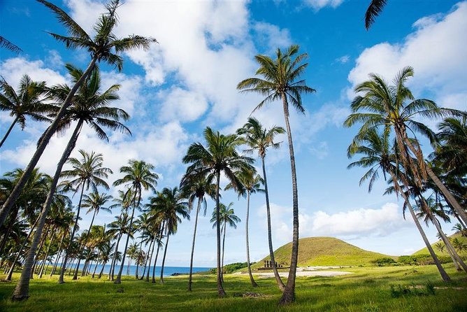 Full Day Easter Island Shared Tour