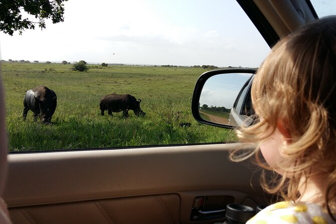 Full-Day Family Hluhluwe Imfolozi Park Safari Experience