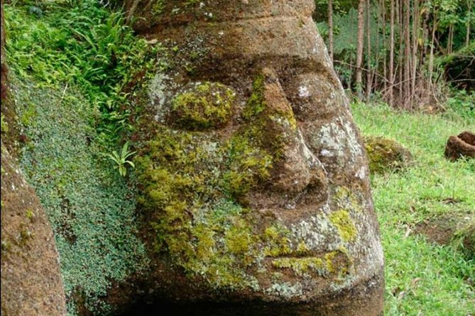 Full Day Floreana Tour