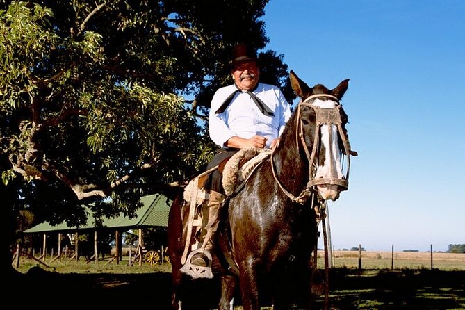 Full Day Gaucho Festival (From Buenos Aires)