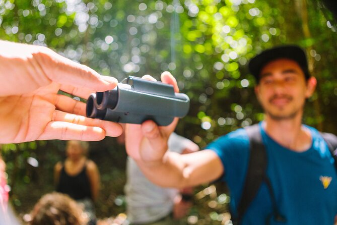 Full-Day Hakalau Forest Reserve Bird Watching Adventure