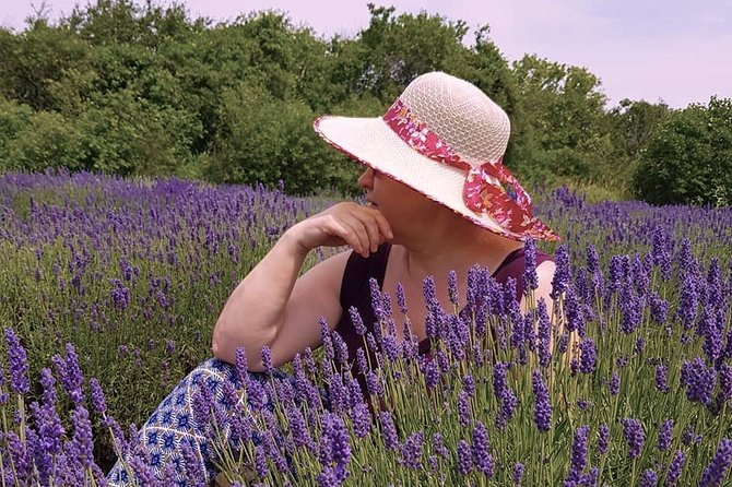 Full-Day Highlights of Prince Edward County Private Tour