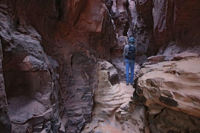 Full-Day Jeep Tour, Wadi Rum Desert Highlights