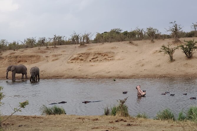 Full Day Kruger National Park Game Drive - Whats Included in the Tour