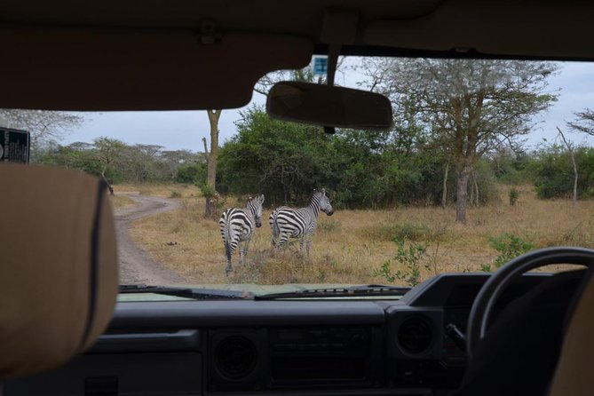 Full-Day Lake Mburo National Park Safari With Boat Trip (2 Day Option Available)