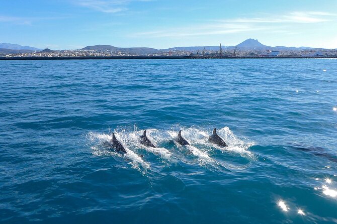 Full-Day Luxury Sailing Escape in Crete - Culinary Delights on Board