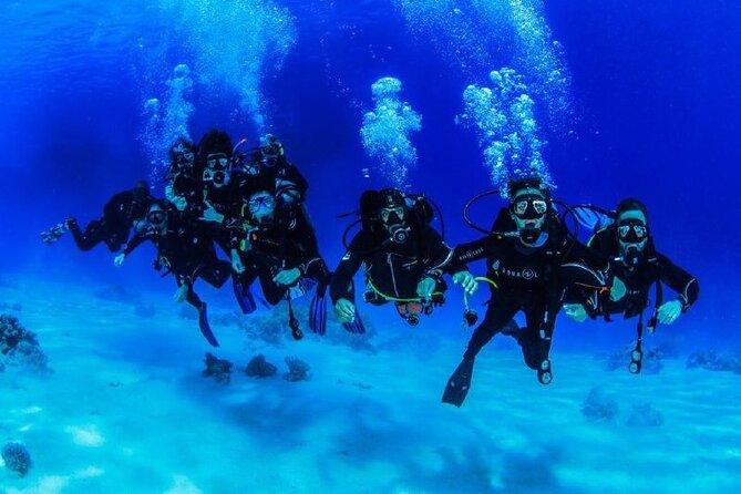 Full Day on Boat With 2 Dives in the Marine Parks of Sharm