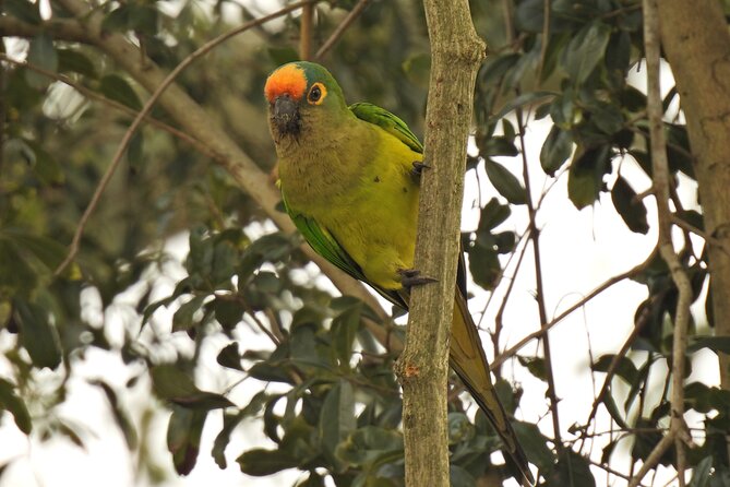 Full Day Paraguay River Nature and Wildlife Boat Tour