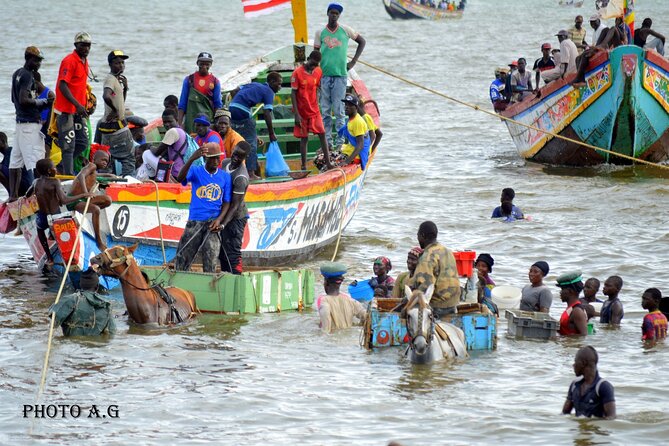 Full-Day PINK LAKE and FISHING VILLAGE Combination