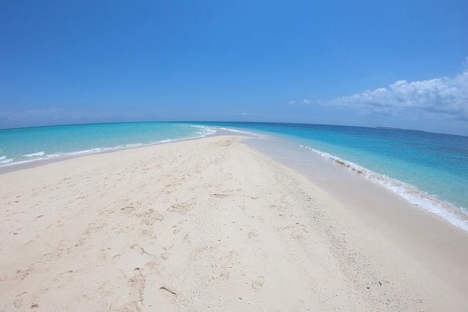 Full-Day Prison Island and Nakupenda Sandbank With Lunch Buffet - Overview of the Tour