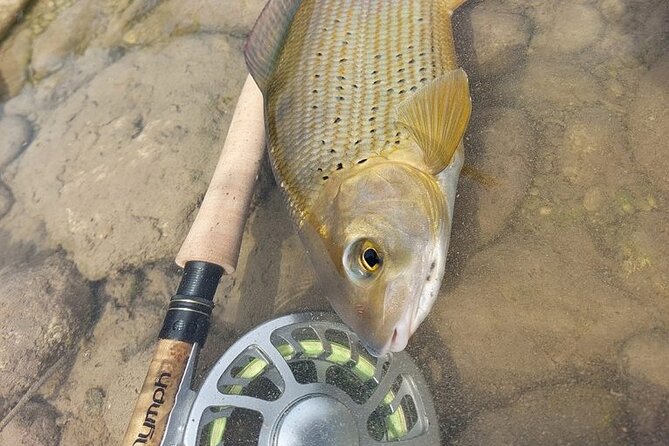 Full Day Private Guided Fishing Charter Along the Isonzo Front