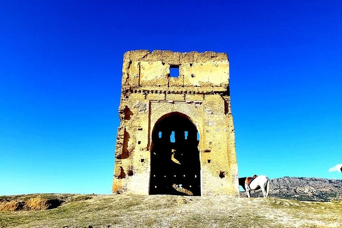 Full-Day Private Guided Tour of Fez With Pickup and Lunch - Pickup Information