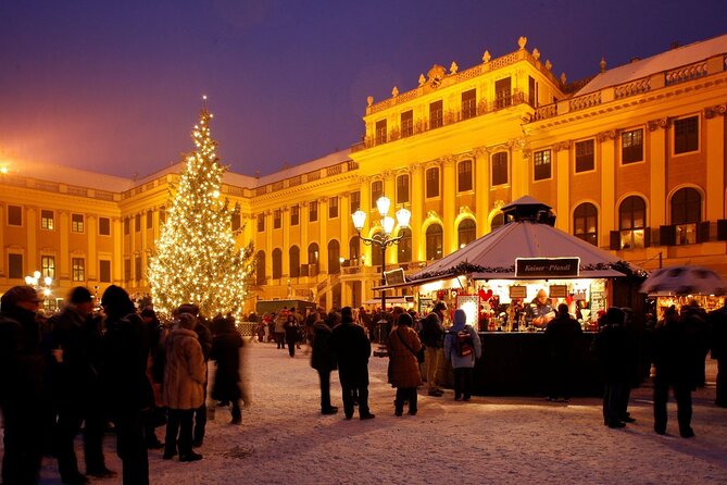 Full Day Private Vienna Christmas Market Tour From Budapest With Lunch - Tour Overview