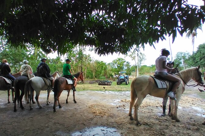 Full Day Punta Cana Safari With Lunch by the River