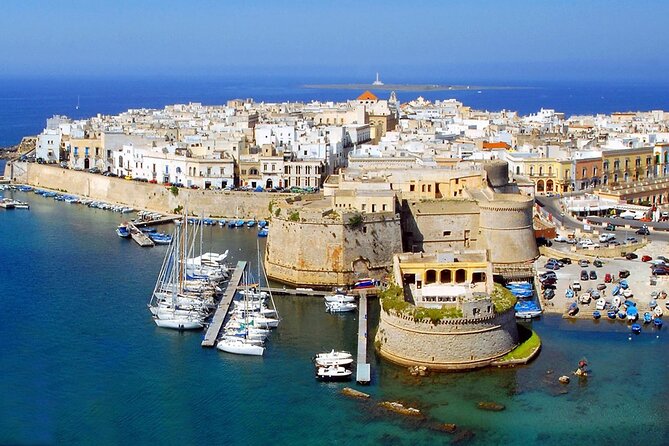 Full-day Salento Wine and Food Tour