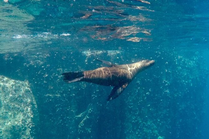 Full Day Santa Fe and Playa Escondida With Snorkeling and Lunch Included - Tour Overview and Highlights