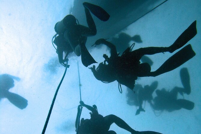 Full Day Scuba Diving in Rosario Islands